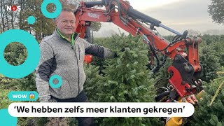 Duizenden vernielde kerstbomen toch verkocht [upl. by Tandy]