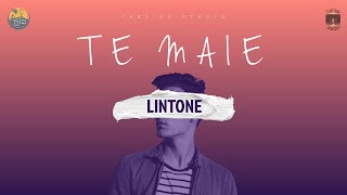 Te Maie  Lintone [upl. by Lenhard]