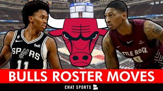 🚨Bulls Make 2 Roster Moves  Preseason Preview [upl. by Egrog]