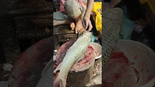 Amazing Huge Mrigal Fish Cutting Live In Fish Market  shorts fish fishing food [upl. by Seiter]