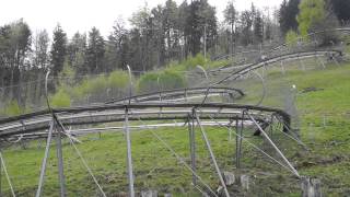 Allgäu AlpseeCoaster [upl. by Berfield]