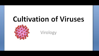 Microbiology 446 a Cultivation of Virus Isolation Culture Egg Chick Inoculation Embryonated ExPlant [upl. by Noam]