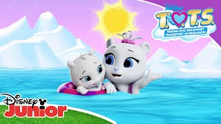 🎶 👼 Marzę o bracie  TOTS  Disney Junior Polska [upl. by Jezabel]