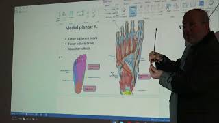 Anatomy of lower limb 40  Plantar arteries   by Dr Wahdan [upl. by Hammer]