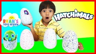 HATCHIMALS SURPRISE EGGS OPENING [upl. by Placida994]