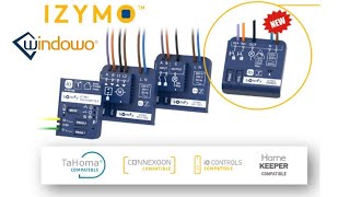 Somfy Izymo Led Dimmer Receiver IO  Micromodulo per Lampadine [upl. by Nauquf363]