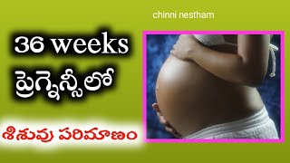 36 weeks of pregnancy what to expect  36 weeks pregnant  pregnancy week by week  normal delivery [upl. by Rosalie]