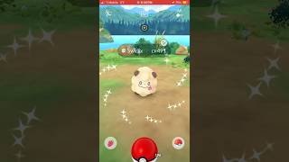 OMG A SHINY SWIRLIX IN POKÉMON GO [upl. by Huda]