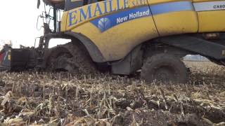 récolte maïs grains quotcondition extreme 59quot new holland cx 8040 chenille soucy track [upl. by Kantos]