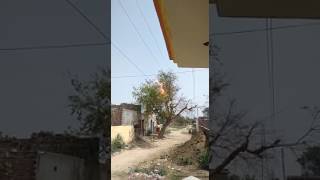 11 kV Overhead line ground fault Arcing via tree  Breaker fail [upl. by Lanae]