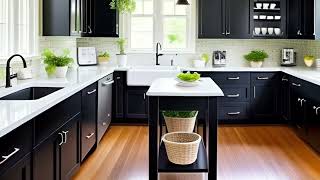 10 Black Kitchen Cabinets Design Prepare to Be Amazed [upl. by Eixirt]