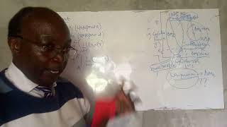 Lecture 48 Compressors and compression work [upl. by Eintrok]