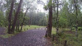 Thungutti Campground New England National Park Ebor NSW [upl. by Roy]