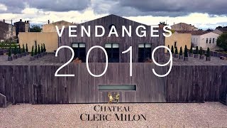 Vendanges 2019 au château Clerc Milon  Reportage [upl. by Herold774]