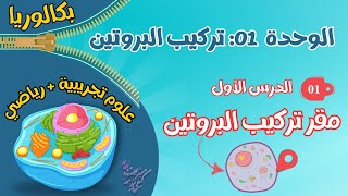 على بركة الله اول درس من برنامج البكالوريا في العلوم مقر تركيب البروتين  BAC2025 [upl. by Metcalf928]