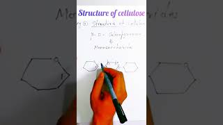 Haworth projection formula of cellulose [upl. by Loyce]