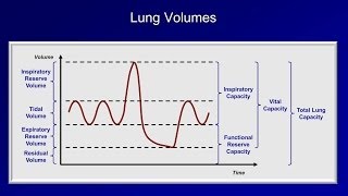 Pulmonary Function Tests PFT Lesson 1  An Introduction [upl. by Chilt53]