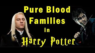 Pure Blood Families in Harry Potter series Jadugari Dunia ke Shuddh Khoon Pariwar [upl. by Jolie]