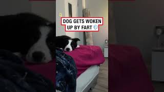 Unconventional alarm clock 🤣⏰ 🎥 CONTENTbible [upl. by Jakoba173]