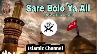 SARE BOLO YA ALI SLI MOLA DJ RIMIX QWWALI RIMIX BASS Islamicvideoschainal virlvideo [upl. by Ylime]