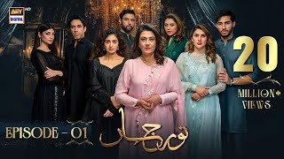 Noor Jahan Episode 1  25 May 2024 English Subtitles  ARY Digital Drama [upl. by Bokaj]