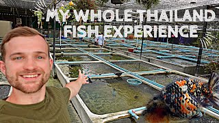 THAILAND fish EXPEDITION  FULL MOVIE [upl. by Atsirt]