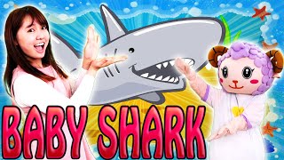 Baby shark kids song and danceAnimal song [upl. by Jansson908]