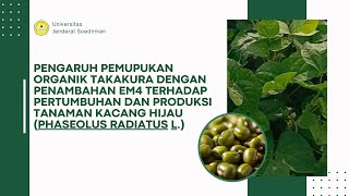 Pemupukan Tanaman Kacang Hijau Phaseolus radiatus L [upl. by Aniham]