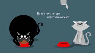 Catsomat  animated Explain Video  2D Cat Animation [upl. by Bruyn]