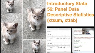 Introductory Stata 56 Panel Data Descriptive Statistics xtdescribe xtsum xttab [upl. by Miquela982]