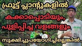 പഴച്ചെടികളുണ്ടെങ്കിൽ നിശ്ചയമായും അറിഞ്ഞിരിക്കണംfruitsplantsplantationsoil pHjeevamrutham [upl. by Noret]