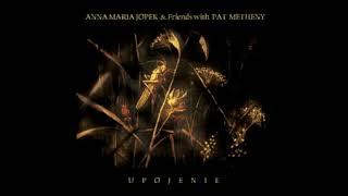 Anna Maria Jopek amp Pat Metheny  Are You Going With Me [upl. by Khoury]