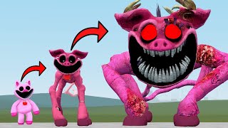 NIGHTMARE PICKY PIGGY  EVOLUTION OF PICKY PIGGY Poppy Playtime Chapter 3 in Garrys Mod [upl. by Brandon]