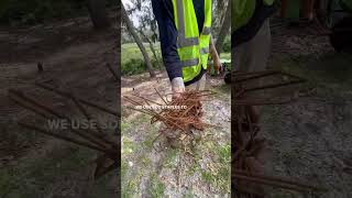 Sustainable jute erosion control explained [upl. by Eelyahs]