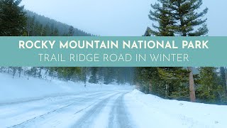 Estes Park Colorado to Rocky Mountain National Park Winter Scenic Drive  4K Snowy Trail Ridge Road [upl. by Anora491]