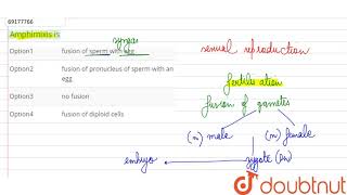 Amphimixis is [upl. by Cassie936]