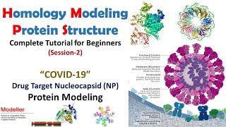 Homology Modeling for Beginners  COVID19 NP Protein Modeling Session2  Bioinformatics [upl. by Etnaihc266]