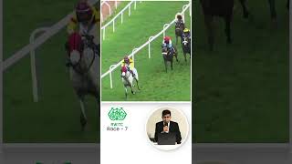 Race 7 The D N Zodge Plate Post race review 19th Oct 2024 [upl. by Ydnam769]