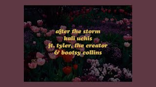 After The Storm  Kali Uchis ft Tyler The Creator amp Bootsy Collins lyrics [upl. by Aimej]