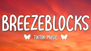 altJ  Breezeblocks Lyrics Please don’t go please don’t go I love you so I love youso TikTok Song [upl. by Marquez927]