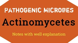 actinomycetes understand with notes bacteria lifecycle diagram [upl. by Ginzburg]