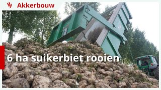 6 hectare suikerbieten rooien [upl. by Oribelle525]