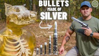 WEREWOLF DEFENSE Pure Silver 50 BMG 500 SampW 12 Gauge amp More [upl. by Eiral]