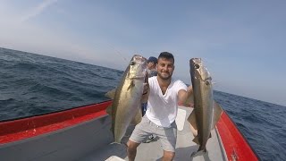 Pescando a jigging con “Chivo o vinilos” [upl. by Silsby315]