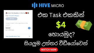 Earn 4 Per Hour Hive micro Task  Hive Micro Task answer Sinhala [upl. by Coonan437]