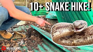 Catching Snakes by the River and Flipping Junk Early Spring Herping in Georgia [upl. by Nomrah717]