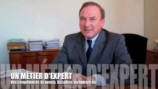 Interview de M JeanMarie Thonnon directeur division douaneaccises TOTAL Raffinage Marketing [upl. by Moody]