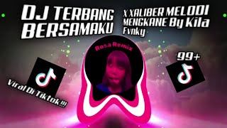 DJ TERBANG BERSAMAKU X XALIBER MELODI MENGKANE BY KILA FVNKY VIRAL TIKTOK 2023 [upl. by Acirdna994]