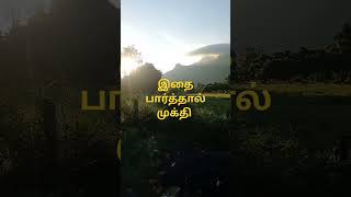 திருவண்ணாமலை சித்தர்thiruvanamalai thirumayam திருவண்ணாமலை astrology [upl. by Yssim514]