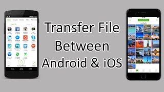 Xender  How to Transfer Files Between Android and iOS [upl. by Nagar]